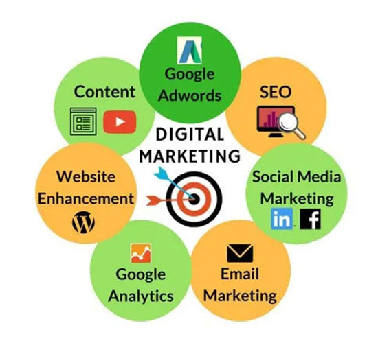 SEO and Digital Marketing Courses